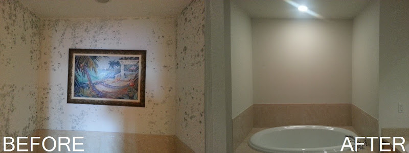 Goliath Disaster Restoration