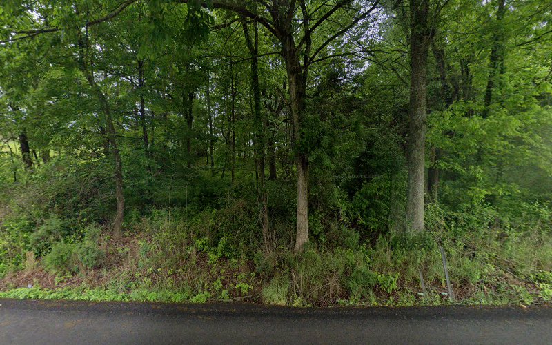 ServiceMaster Heavy Cleaning Services