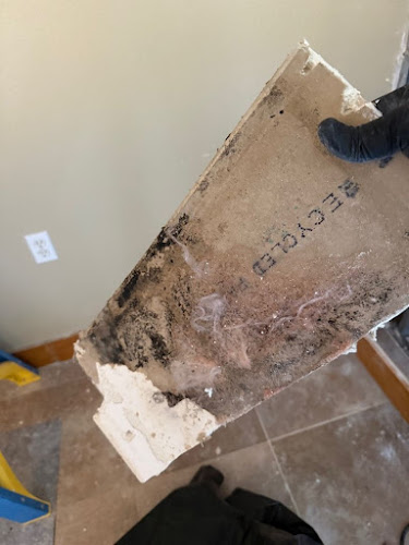 DRYmedic Restoration Services of Melissa