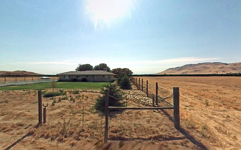 Professional Chemisry Carpet Cleaning