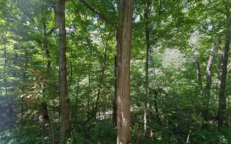 Monroe Carpet & Air Duct Cleaning