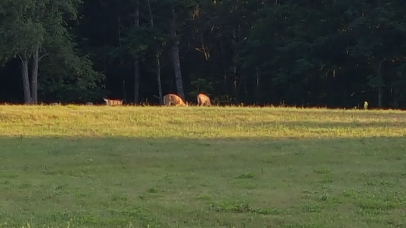 Peniel Environmental Seacoast Division