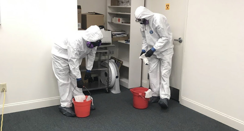 Rainbow International of North Hollywood