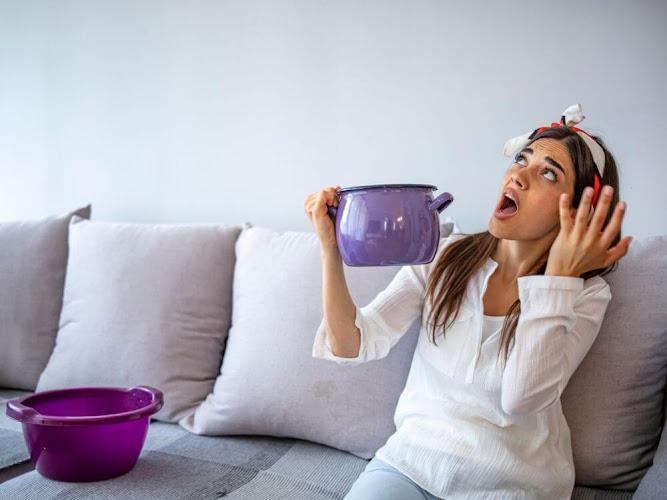 Vetted Water Damage & Mold Experts Collingswood