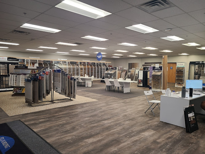 Bella Restoration Services