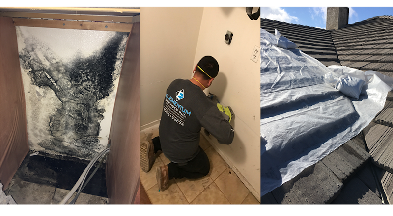 Elementum Services Inc.