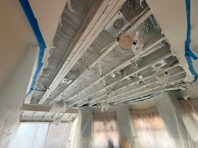 Soflo Mold Specialist