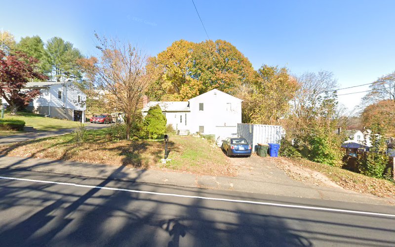 A1 Ceiling Restoration + Roof