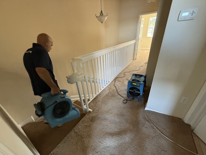 Mold inspection & removal in Miami - Florida Mold Detector