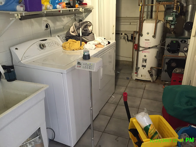 Prime Air Mold & Water Damage