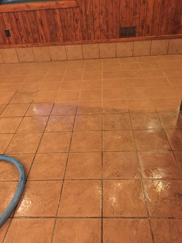 High Performance Carpet Cleaning and Restoration