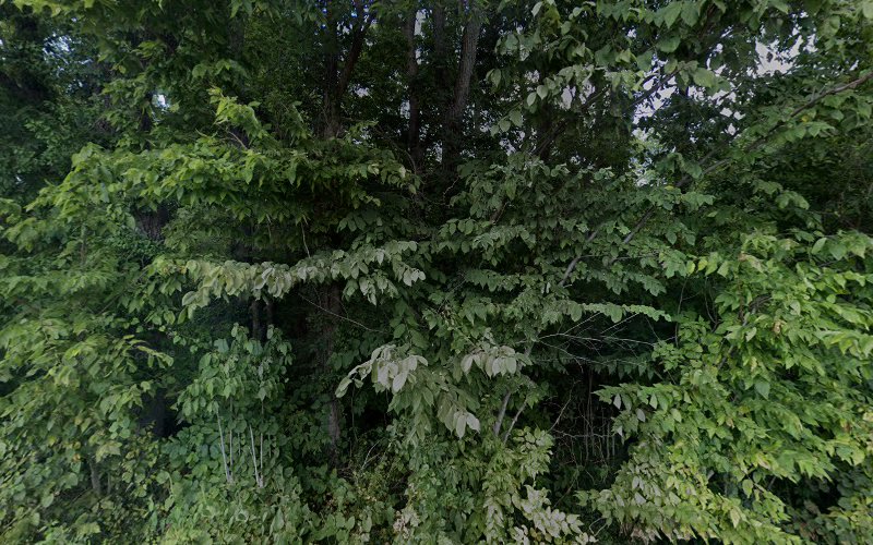 Jobe Brothers Contractors