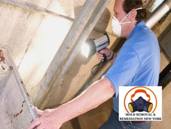 Mold Removal & Remediation New York