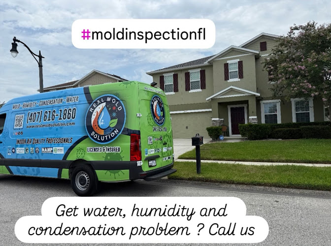 Real Mold Solution