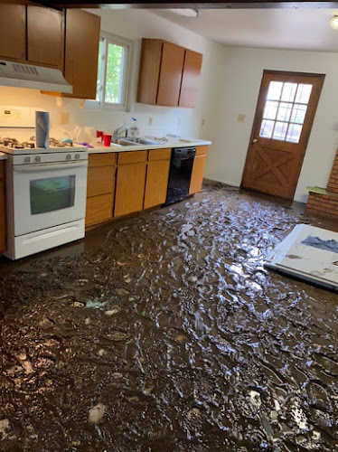 Mammoth Restoration | Kingman