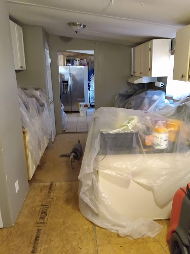 BELFOR Property Restoration (Winston-Salem)