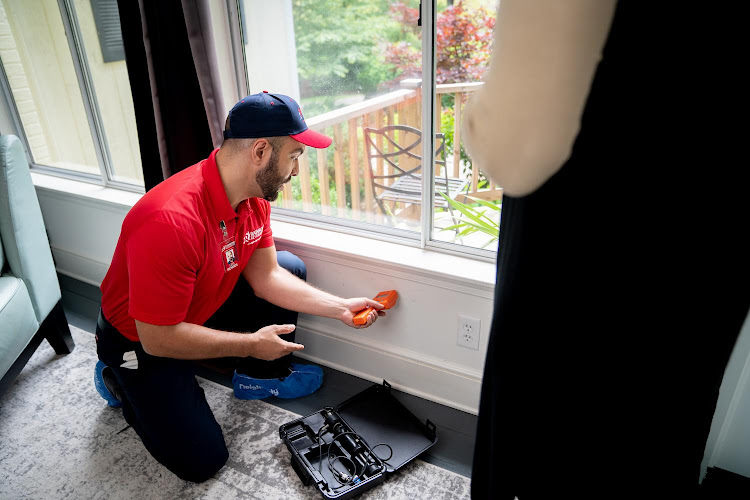 Rainbow International of Midland