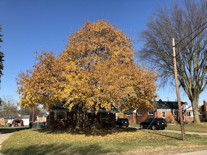 Now Home Building Inc.