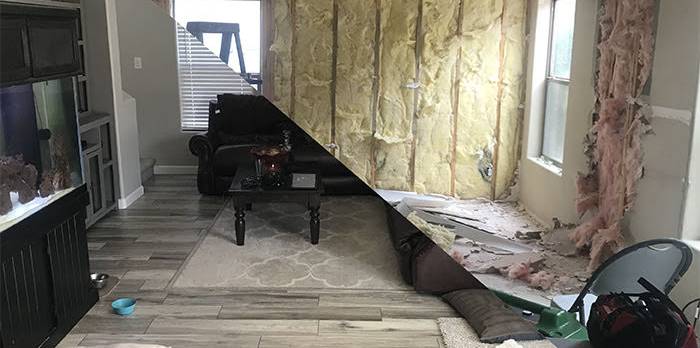 Cactus Wren Restoration