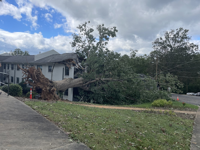 BluSky Restoration Contractors