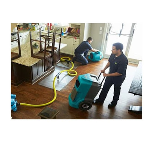 Young's Service Master