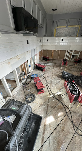 Green State Restoration of Everett