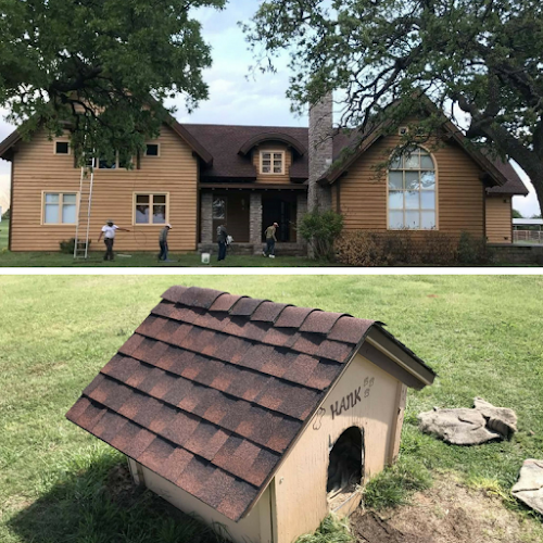 Springtree Restoration- Gainesville