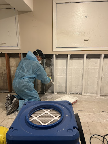 Green Guard Mold Specialist Elizabeth