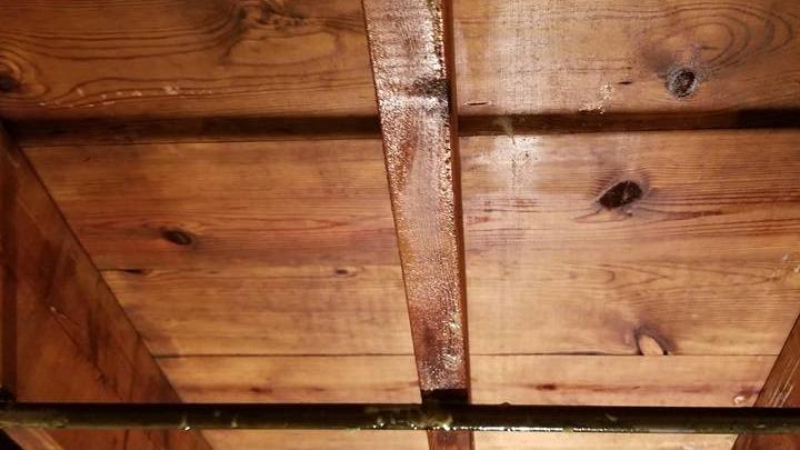 Central Environmental Enterprises