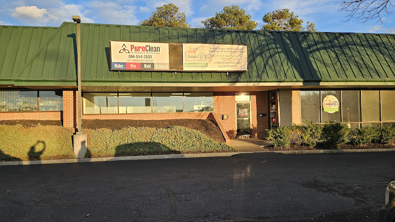 PuroClean of NE Richmond