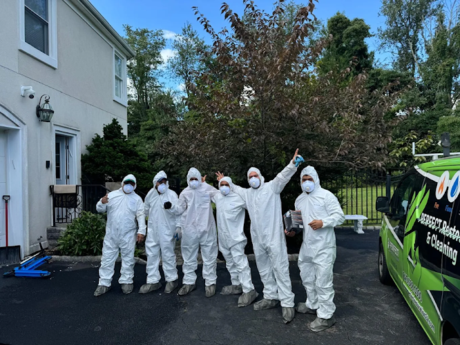 Perfect Restoration & Cleaning