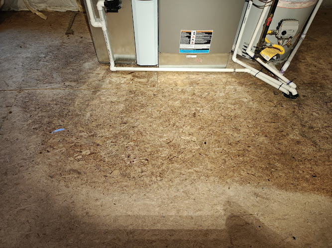 Mold Removal Express Fort Collins