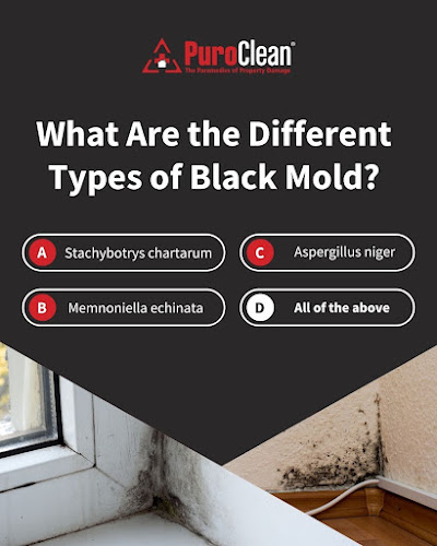 PuroClean of Myrtle Beach