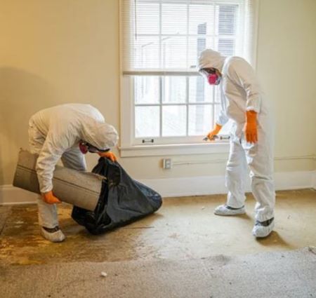 AdvantaClean of Orlando