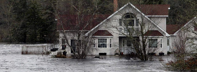 XSI Disaster Services