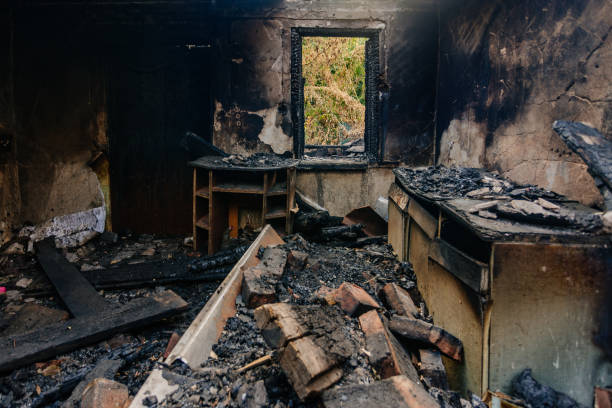 Silver Lake Restoration