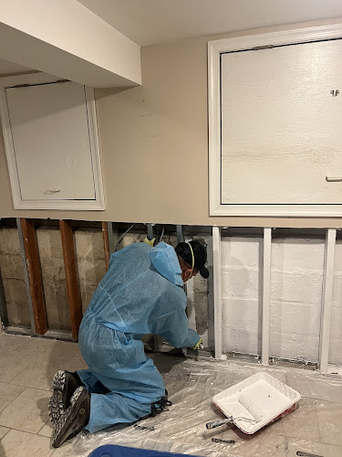 Green Guard Mold Remediation Plainfield