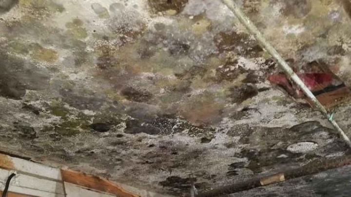 Advanced Restoration & Remediation Services Inc