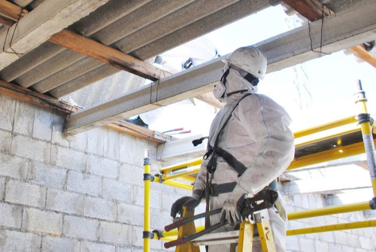 Abc Contracting - Asbestos, Mold, Water Removal Florissant