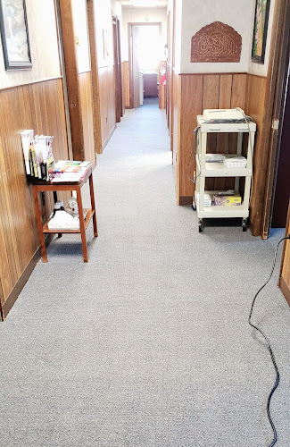 Pro Clean of Michigan