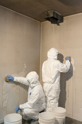 Thompson Restoration Group