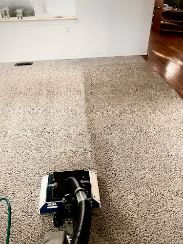 Busy Bee Carpet Cleaning and Restoration
