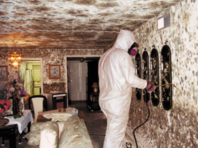 Attic Insulation Patrol