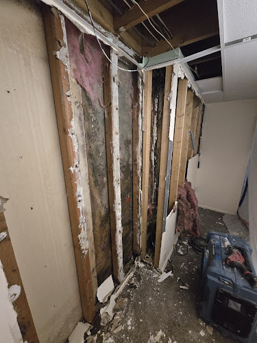 Restoration 1 of Central Denver