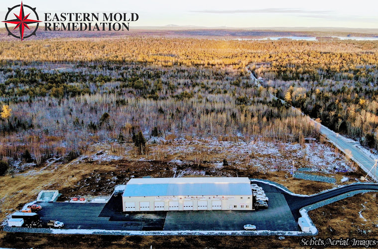 Eastern Mold Remediation