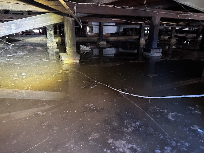 Paul Davis of Los Angeles Downtown / Hollywood