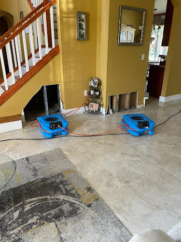 Ultra Hygiene Services (UHS Mold)