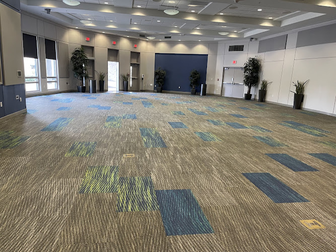 Palmetto Bay Carpet Cleaning & Water Damage Service