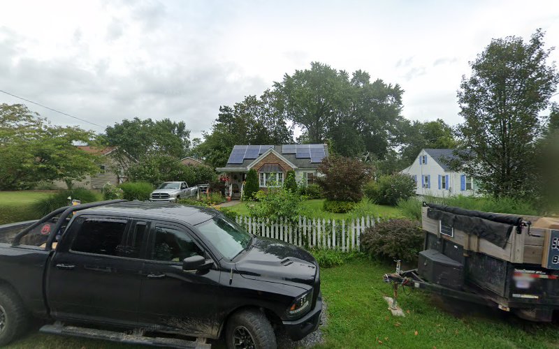 HV Pure Mold Removal