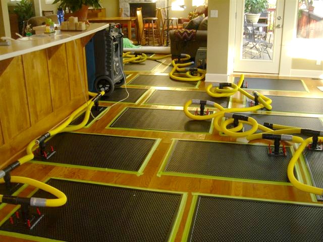 Champion Restoration